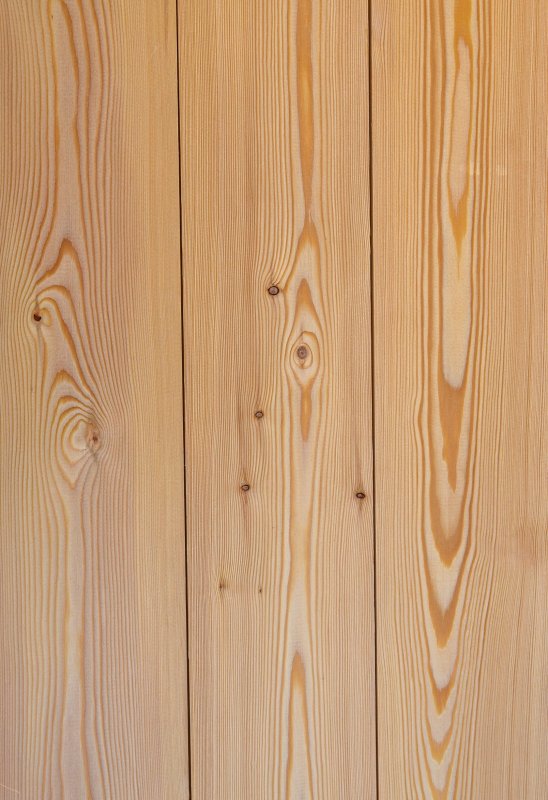 Лиственница текстура