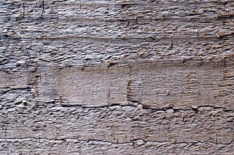 Текстура коры дерева