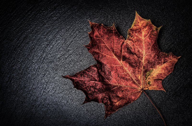 Осенние листья