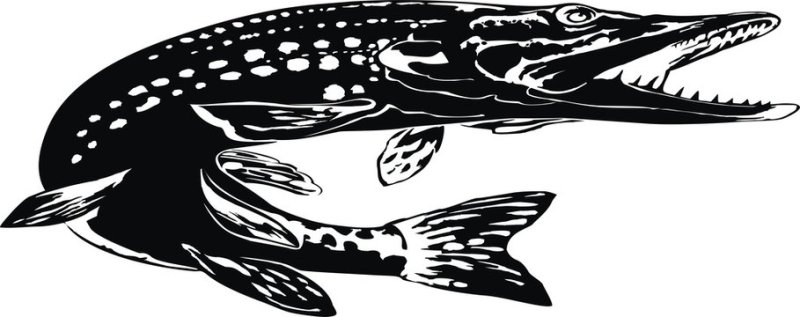 Щука орнамент