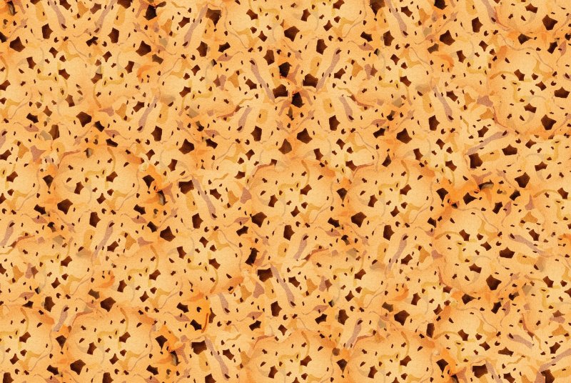 Текстура печенья