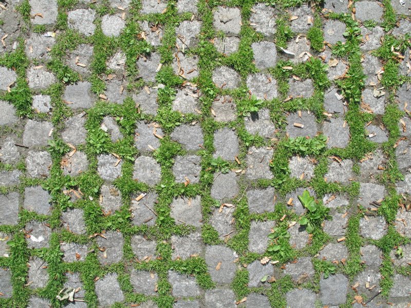 Каменная плитка с травой