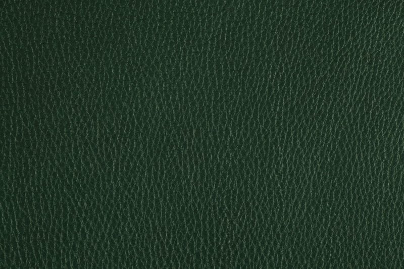 Темно зеленая кожа