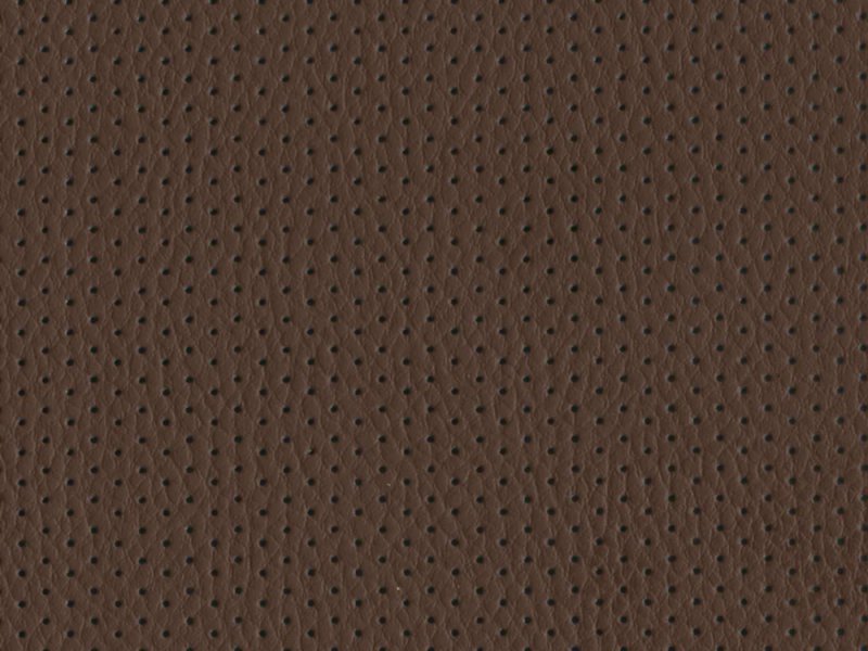 Перфорированная кожа