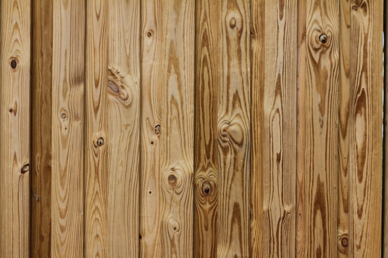 Фактура дерева