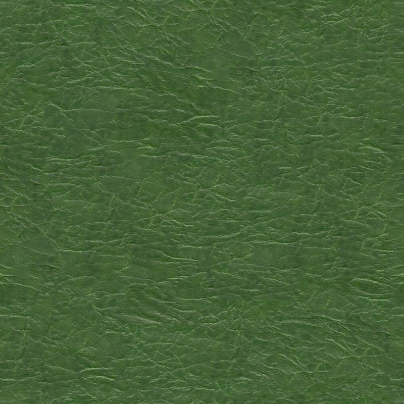 Зеленая кожа