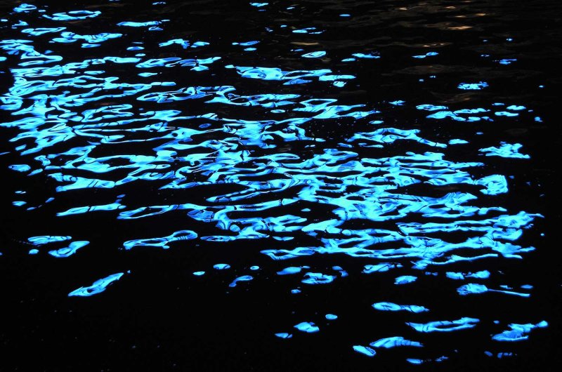 Блики на воде