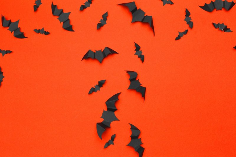 Паттерн летучая мышь