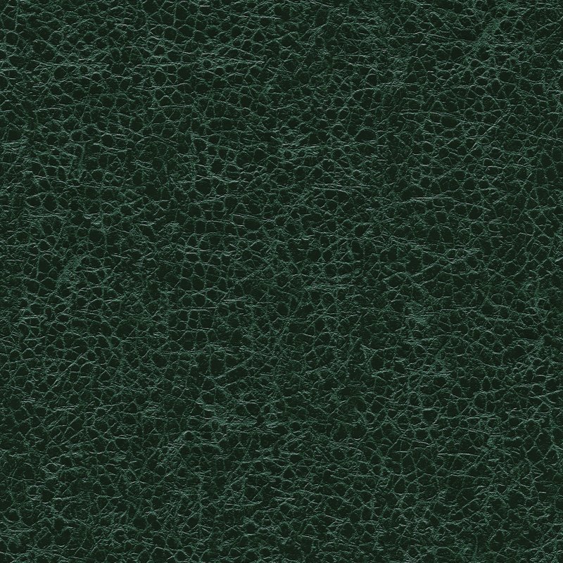 Зеленая кожа