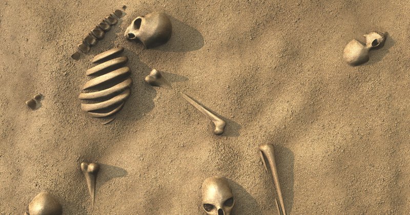 Фактура кости