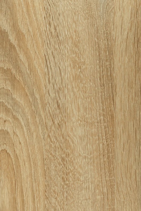 ДСП дуб сонома светлый