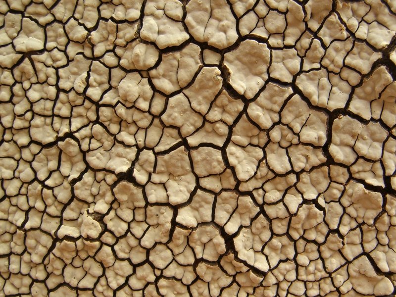 Природные фактуры