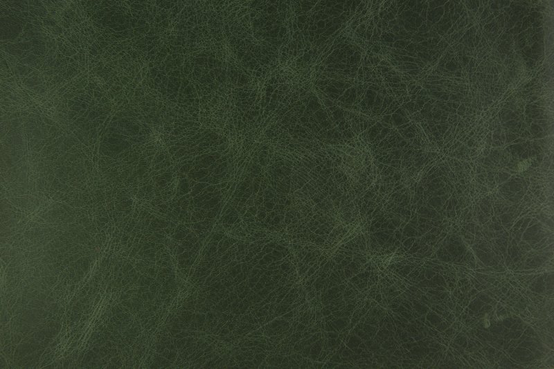 Темно зеленая кожа