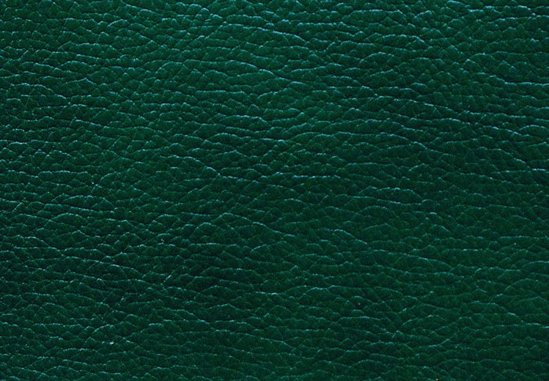 Кожа изумруд 2005