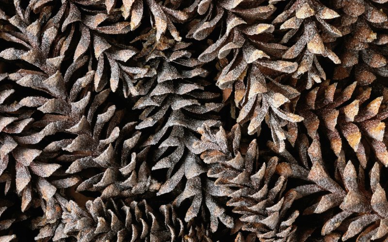 Природные фактуры