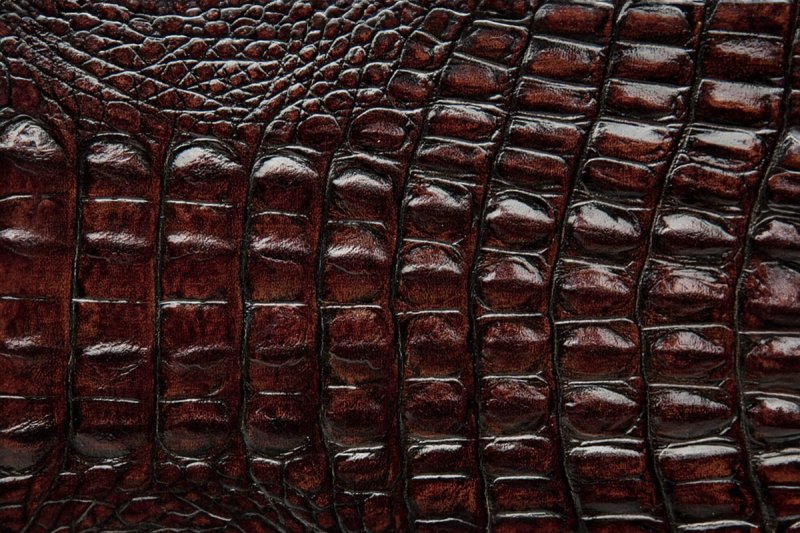 «Кожа крокодила»