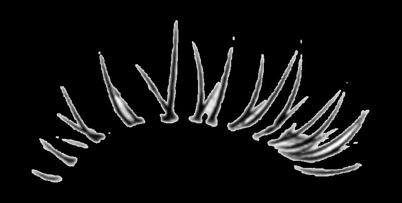 Ресницы без фона