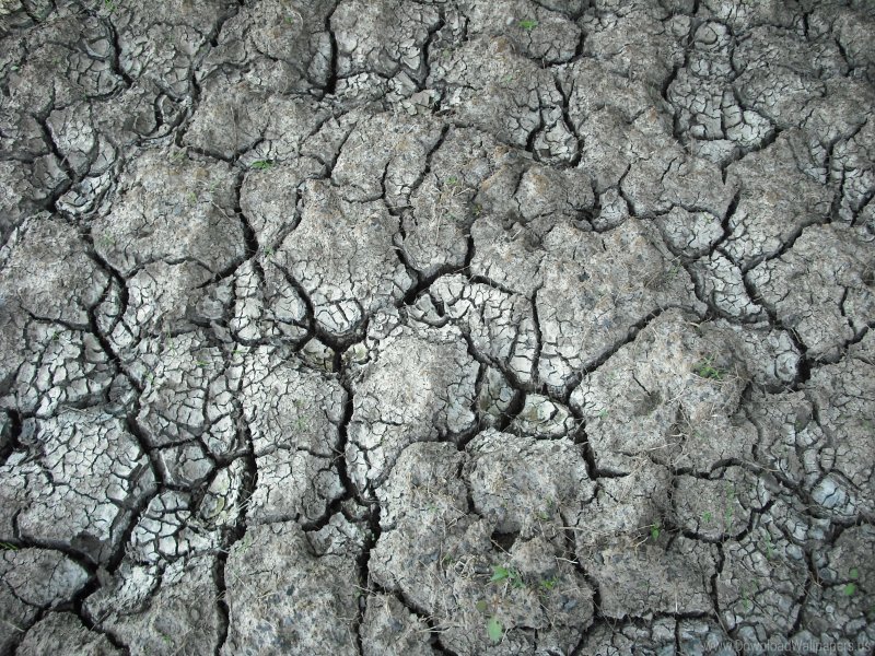 Потрескавшаяся земля