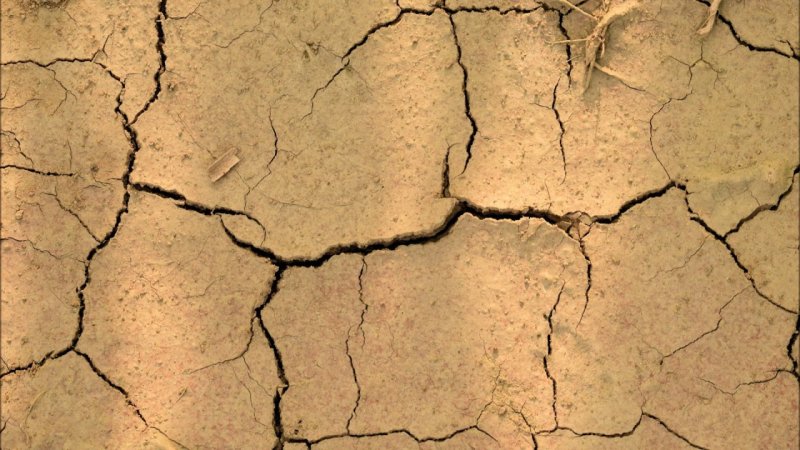 Потрескавшаяся земля