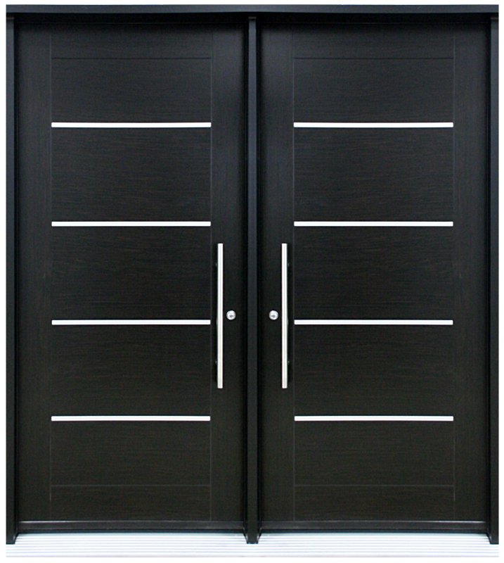 Двойная дверь входная