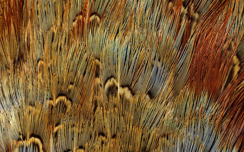 Фактура природных материалов