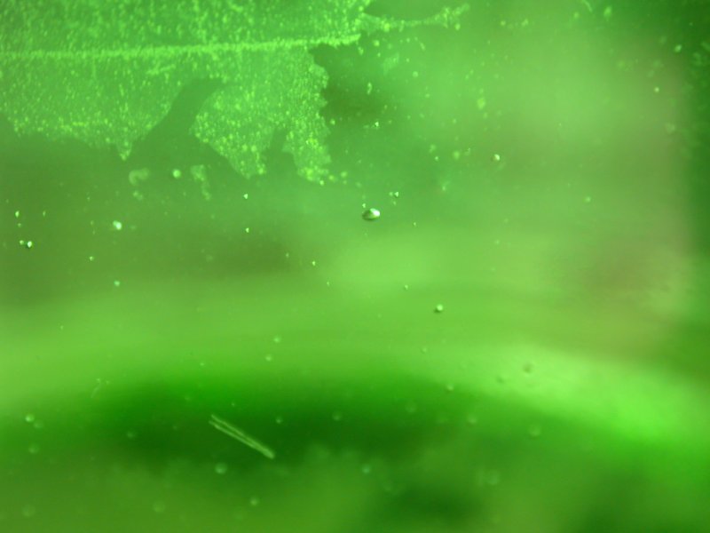 Текстура зеленого стекла