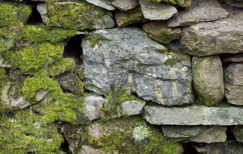 Старый камень