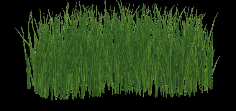 Пучок травы