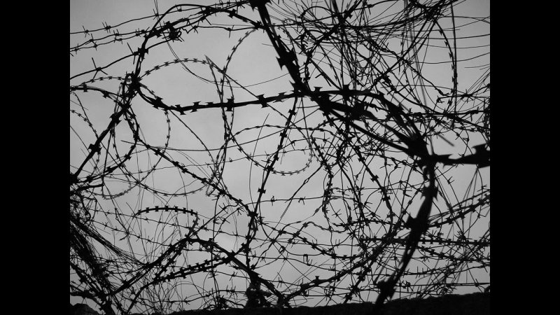 Колючая проволока