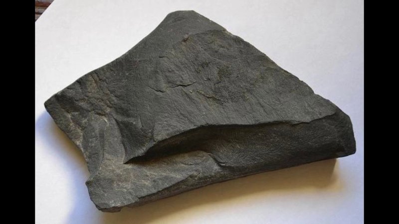 Углистый сланец