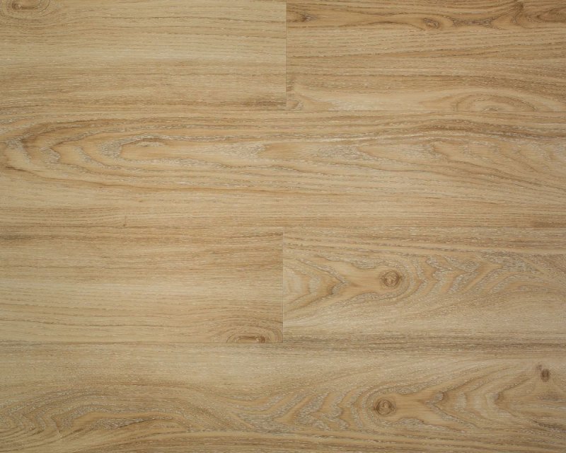 Акация Сибирская древесина