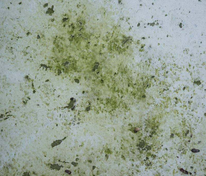 Бетон с плесенью текстура