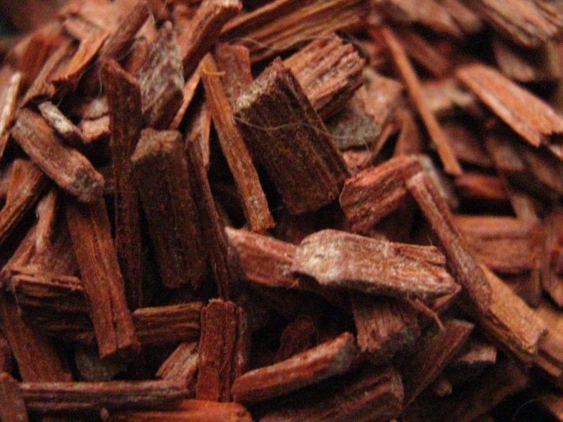 Сандаловое дерево в Индии