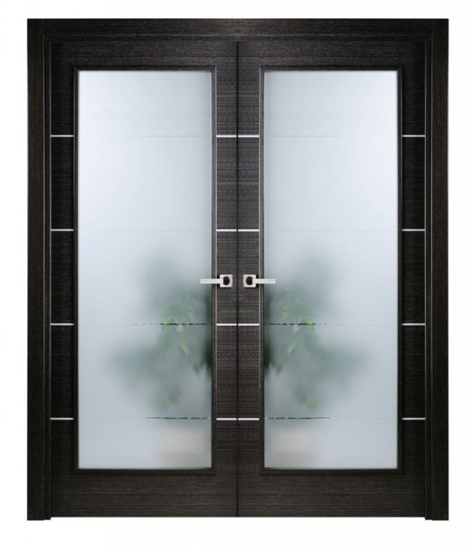 Двойные двери со стеклом