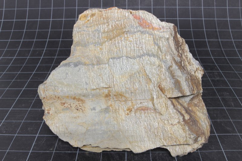 Кварц-хлорит-серицитовый сланец