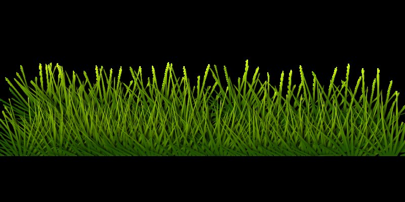 Трава сбоку