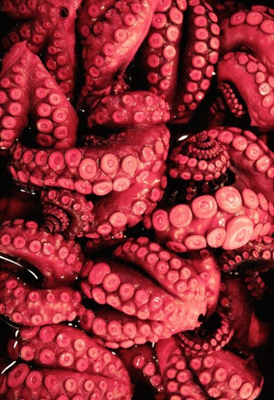 Много щупалец