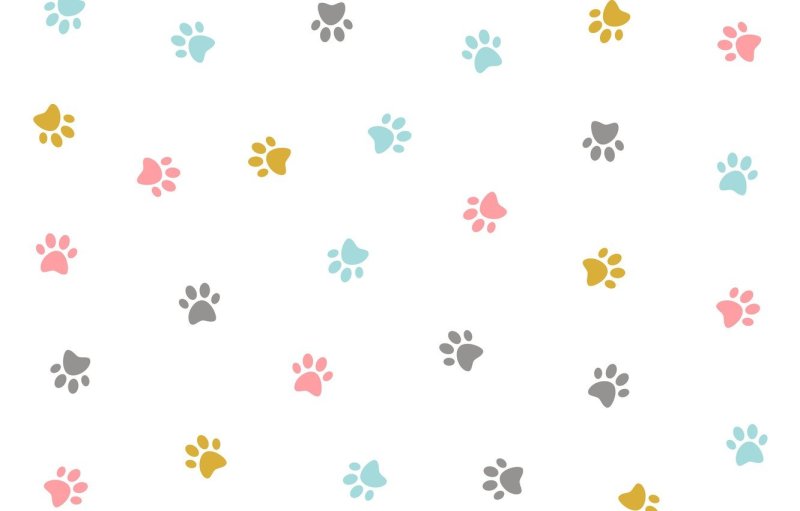 Паттерн лапки