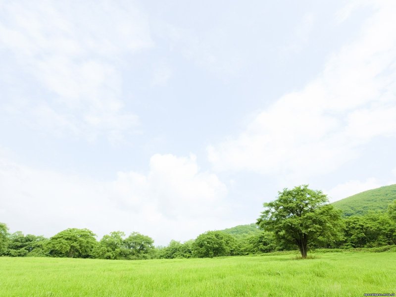 Панорама природа