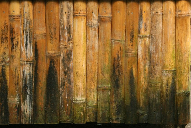 Кора бамбука текстура