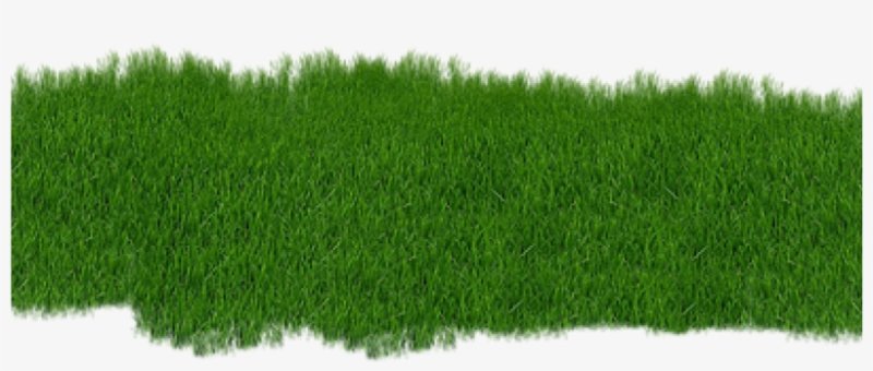 Газон текстура