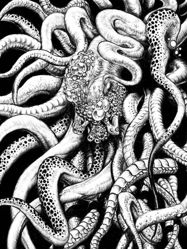 Щупальца Кракена арт