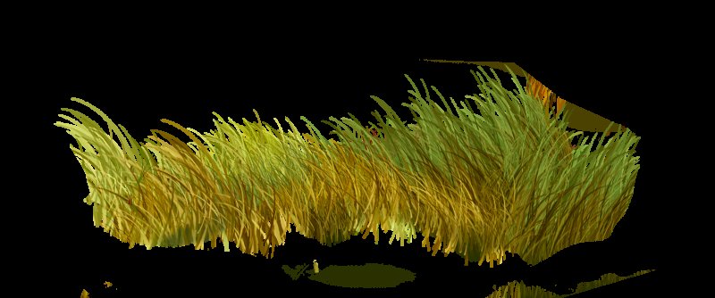 Трава на прозрачном фоне