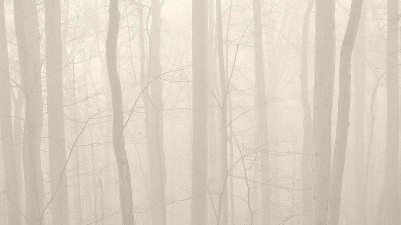 Нейтральный фон