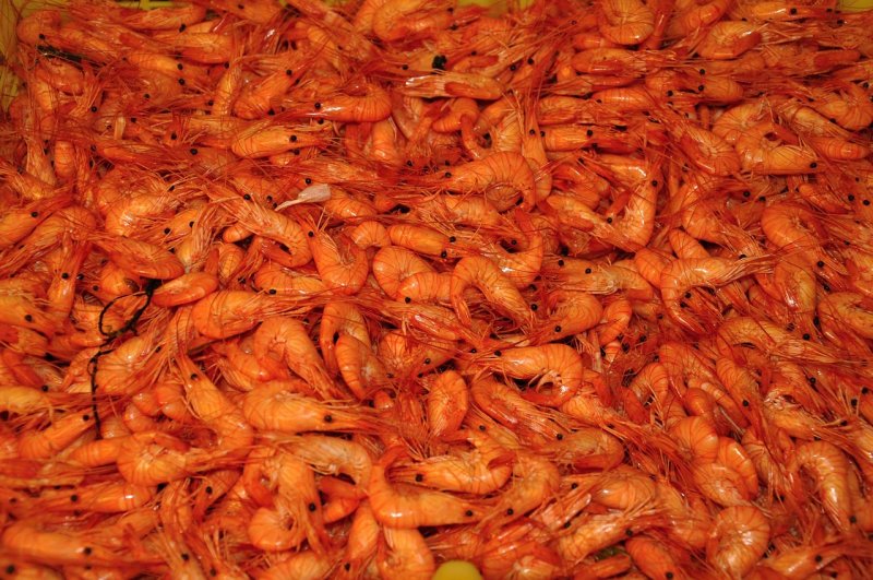 Текстура креветки лангустины