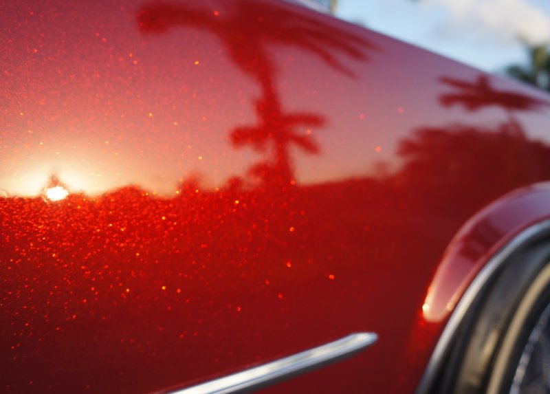 Красный ксералик Кэнди