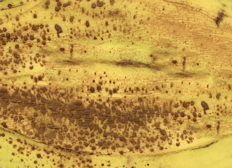 Кожура банана текстура