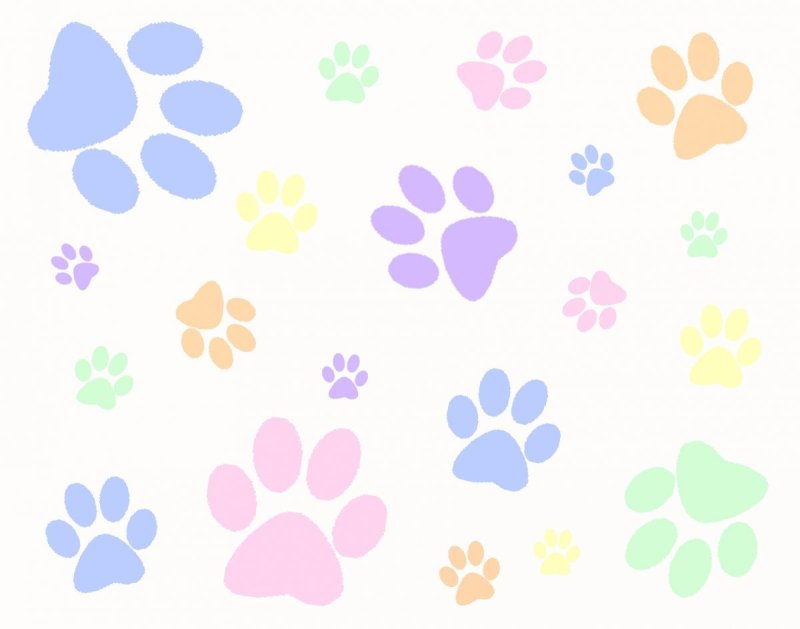 Фон следы животных