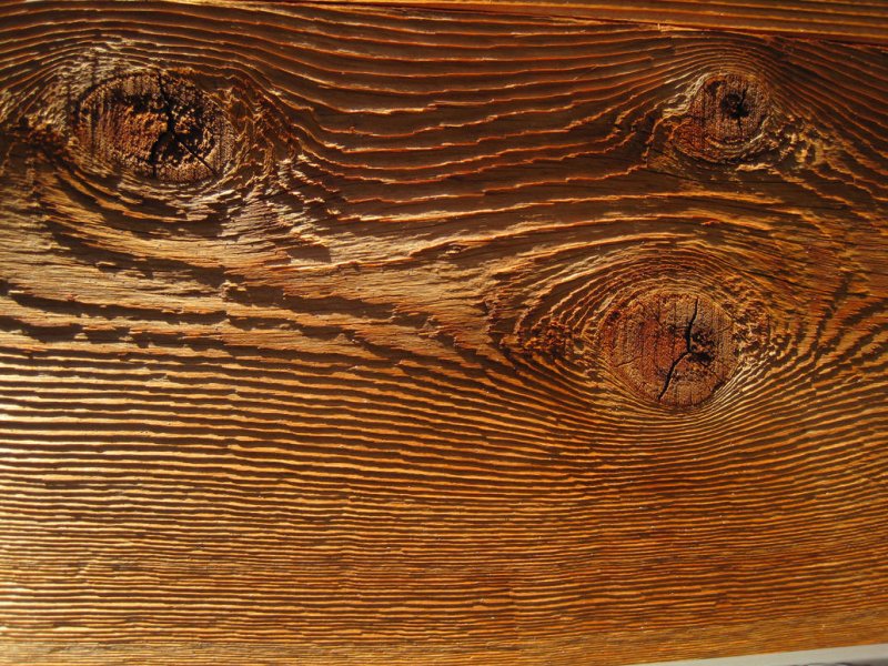 Срез древесины у кедра