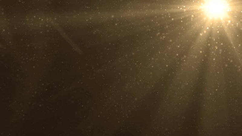 Былинки в солнечных лучах